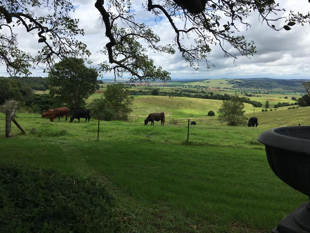 Hillview Cottages Kingaroy Kültér fotó