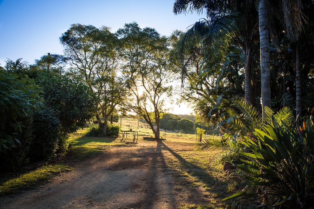 Hillview Cottages Kingaroy Kültér fotó