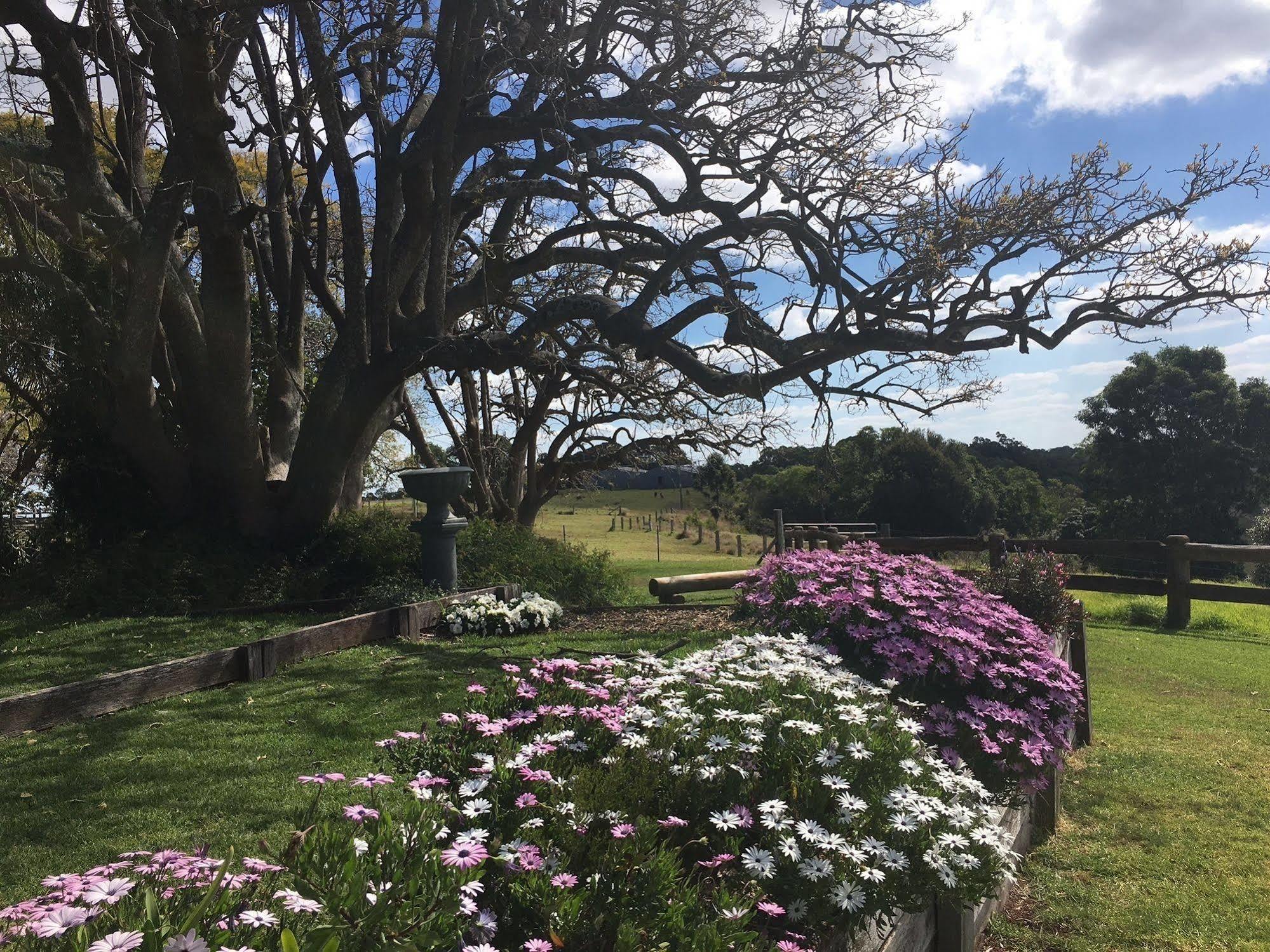 Hillview Cottages Kingaroy Kültér fotó